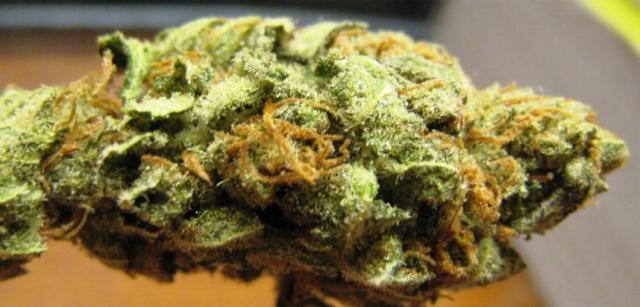 Sour Bubbleberry