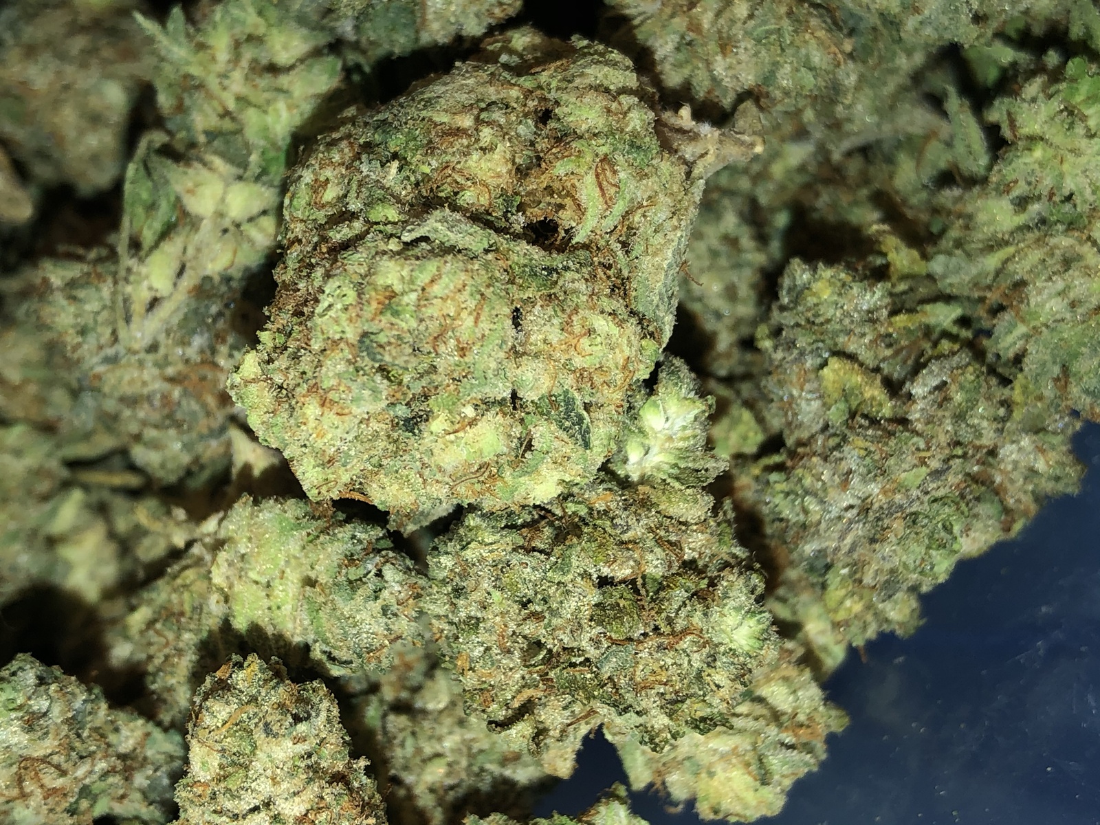Sour Cheese