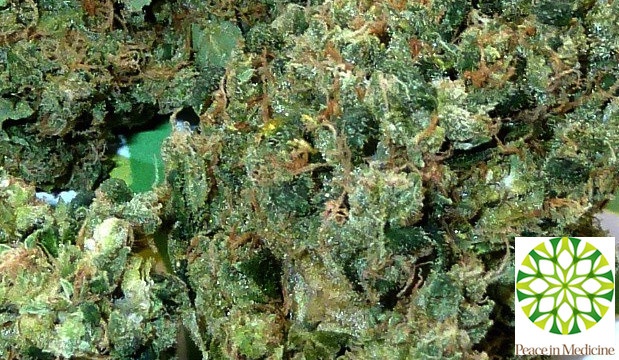 Sour Cream