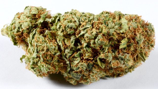 Sour Kosher Kush