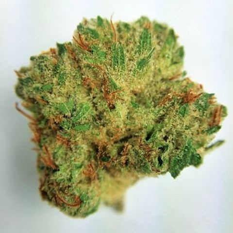 Sour Poison