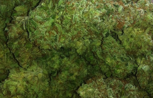 Sour Raspberry