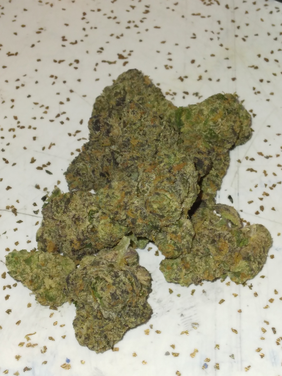 Sour Sherbert