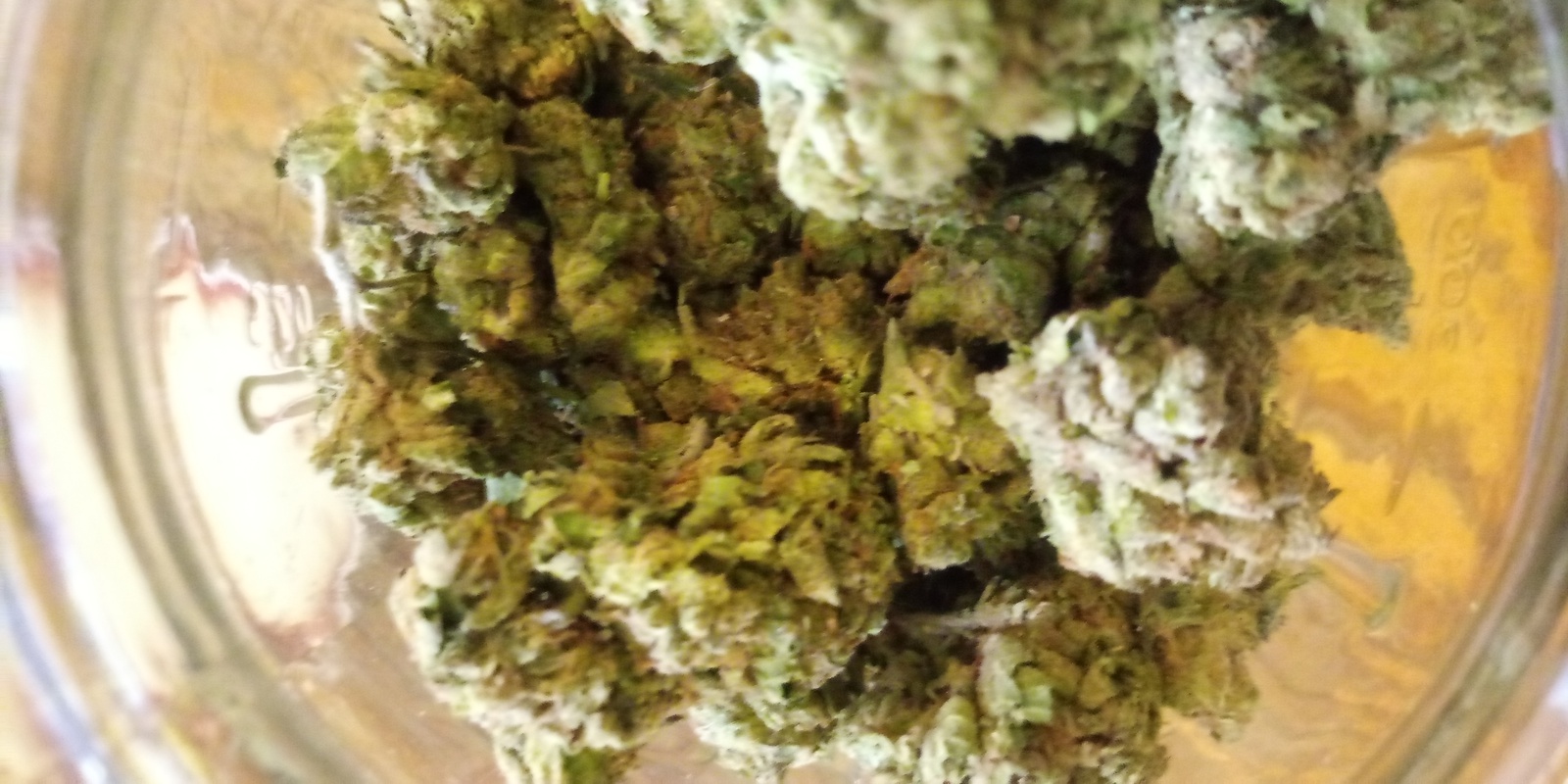 Sour Spyder