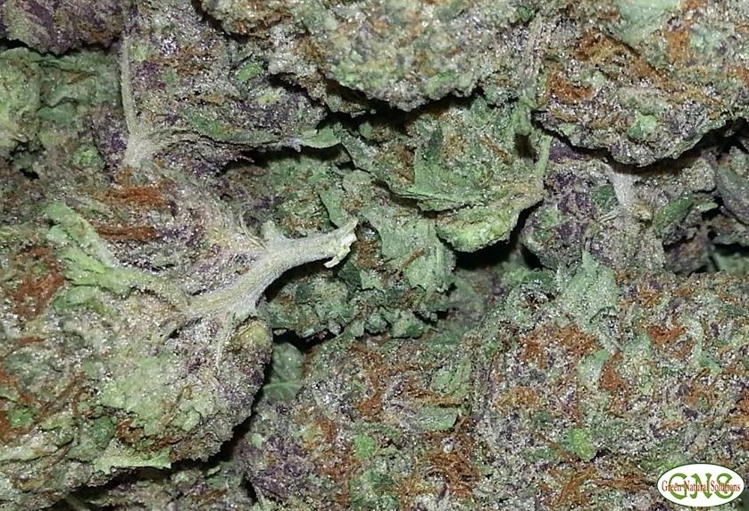 Sour Willie