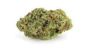 Stank Breath