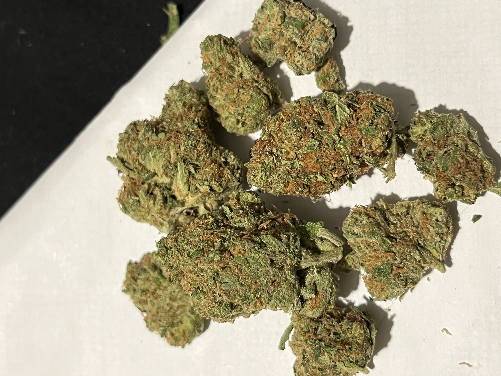 Star Berry Indica