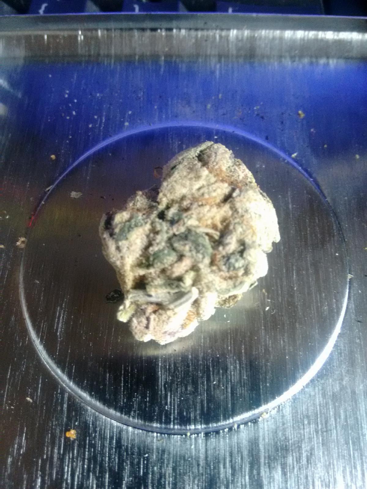 Star Cookie
