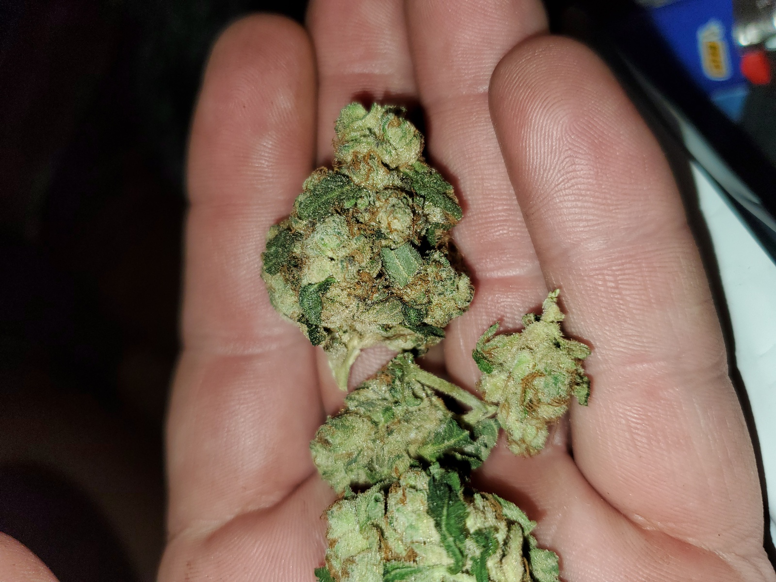 Star Kush