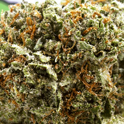 Strawberry Cookiez