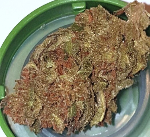 Strawberry Tangie