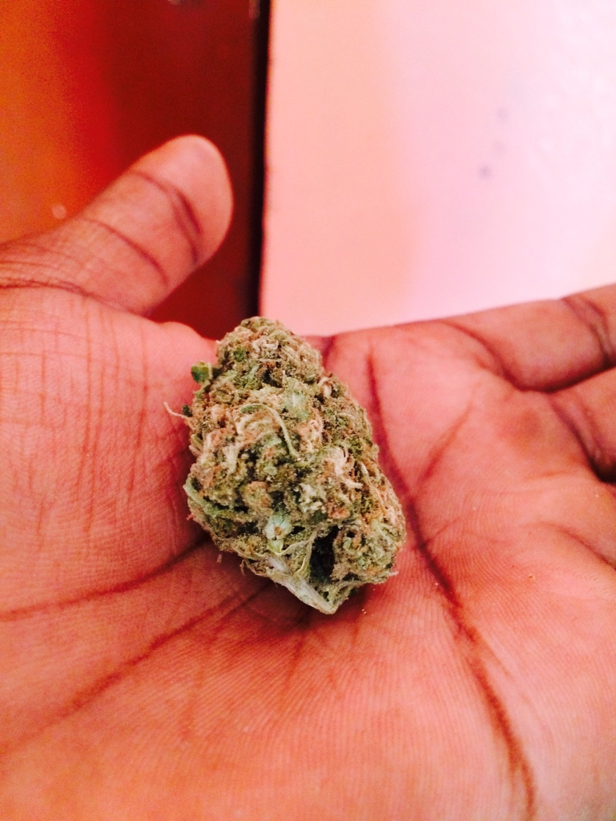 Super Cheese