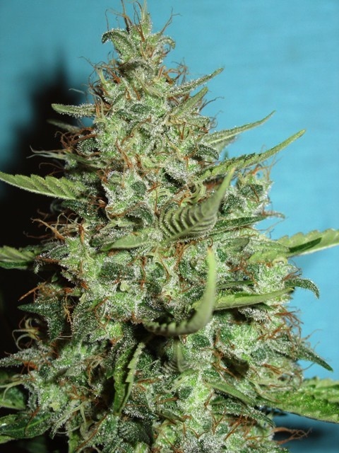 Super Crystal
