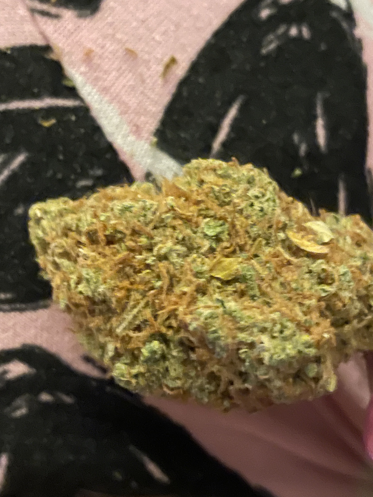 Super Lemon OG
