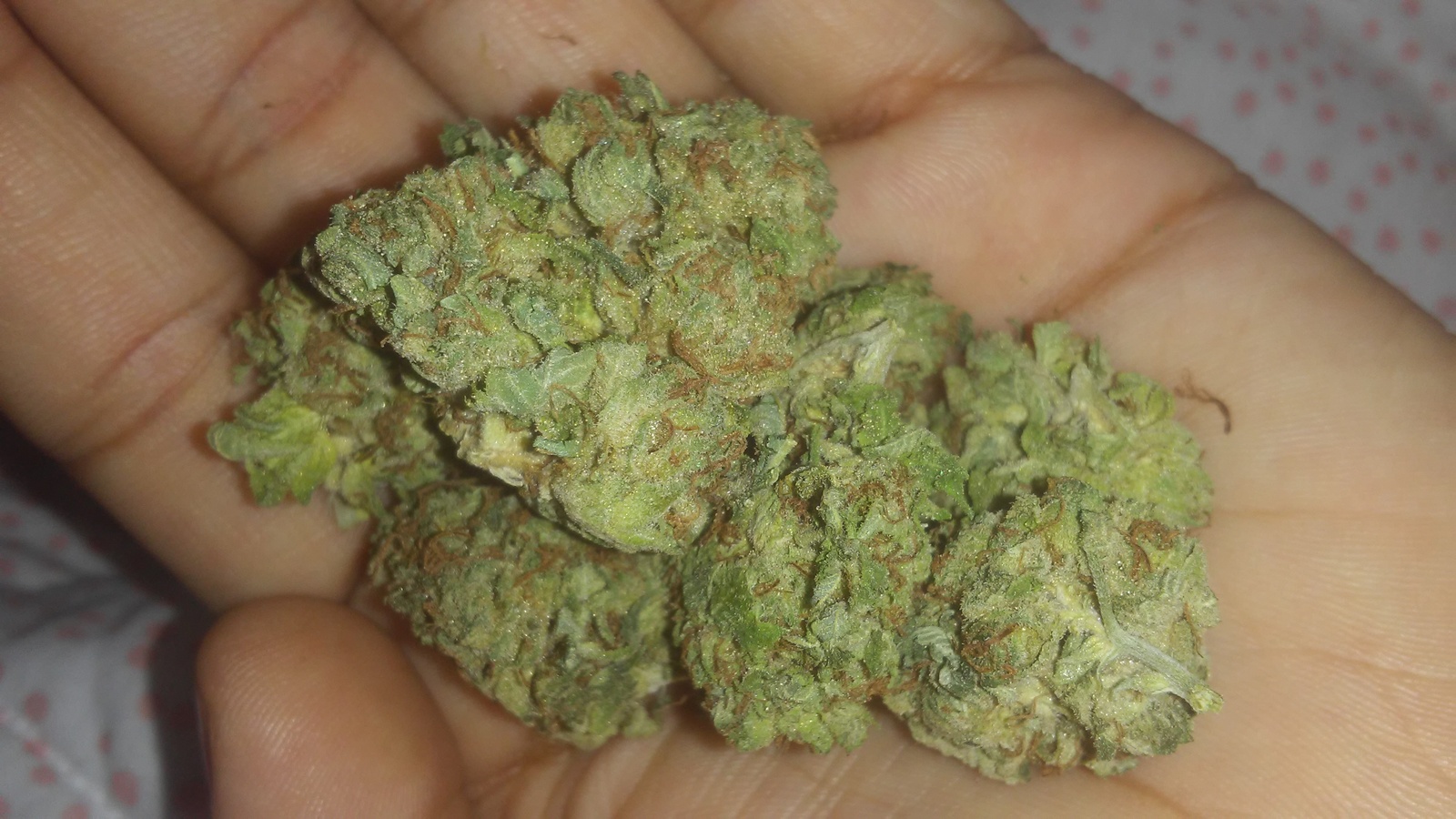 Super Max OG