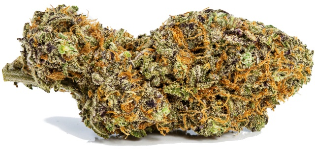 Super Silver Blue Magoo