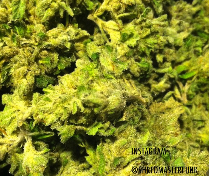 Sweet Diesel