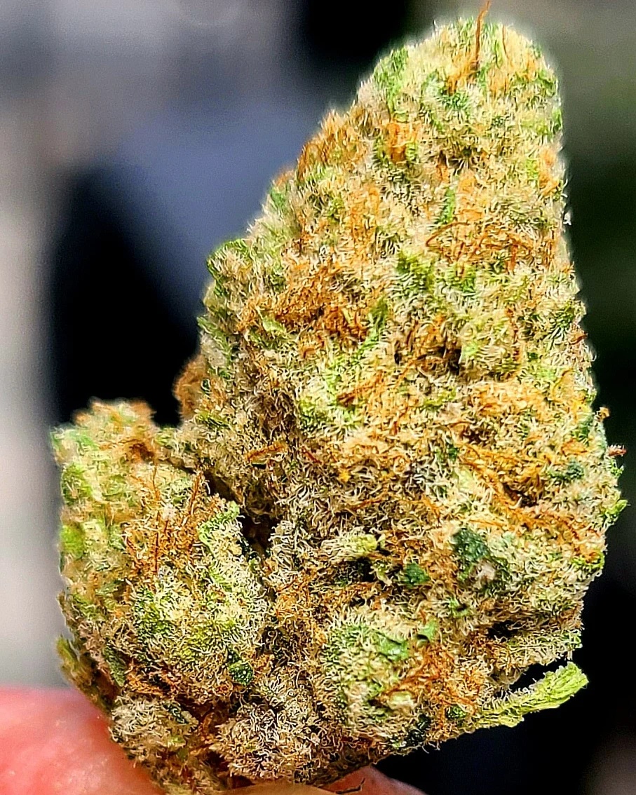 Sweet Relief Og