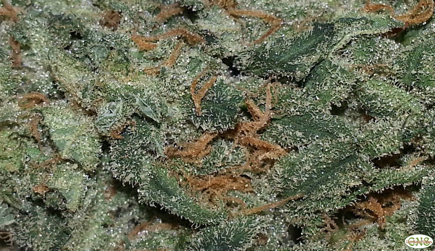 Sweet Thai