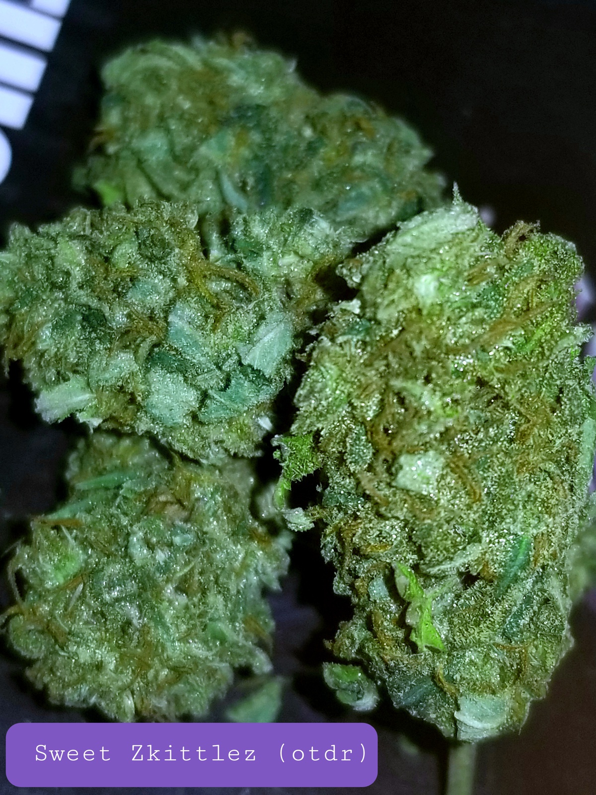 Sweet Zkittlez