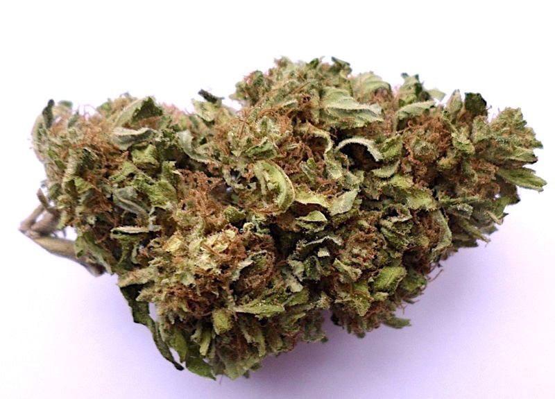 Tahoe Cheese