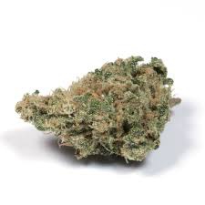 Tahoe Cure