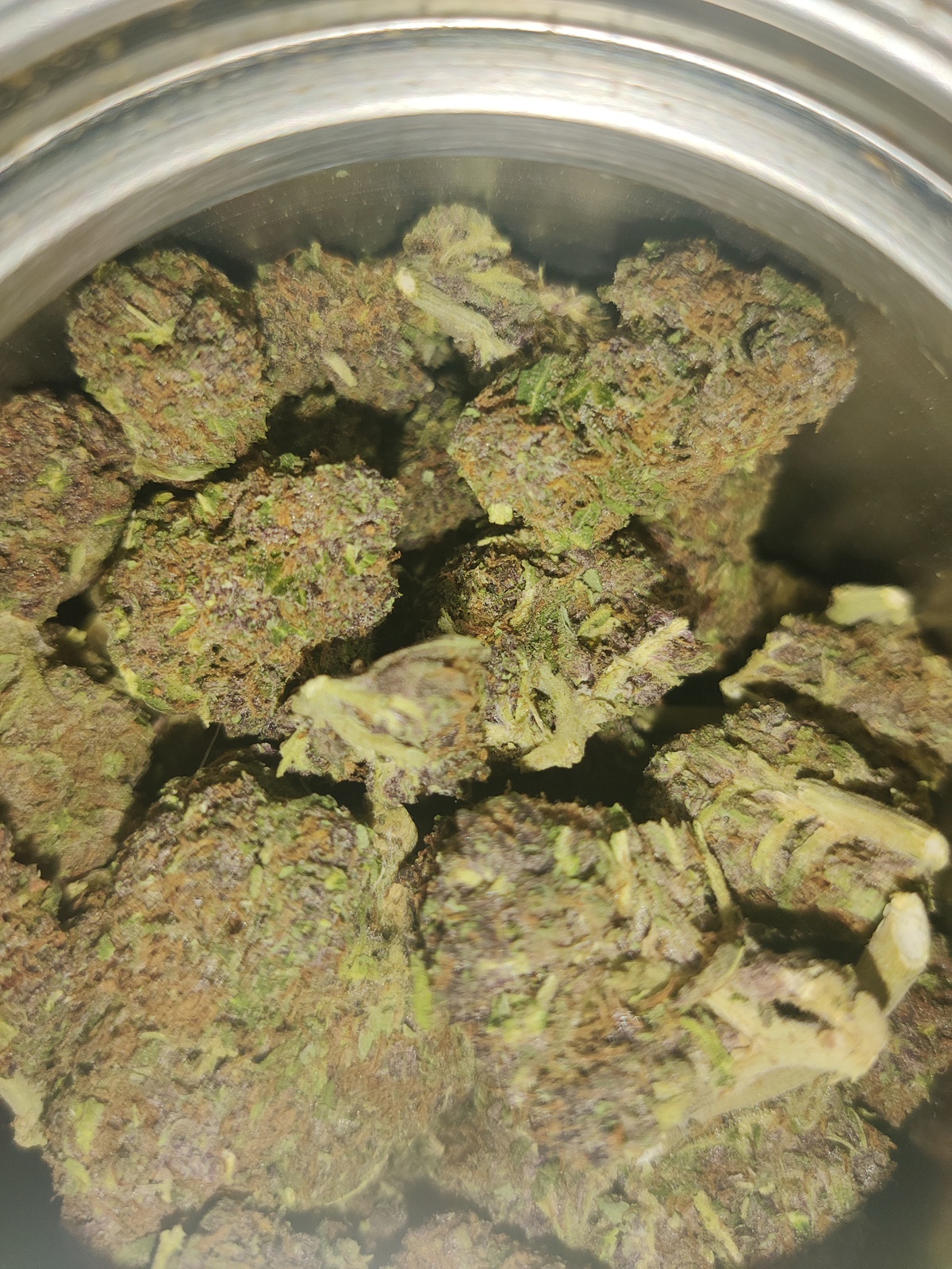 Tahoe Purps