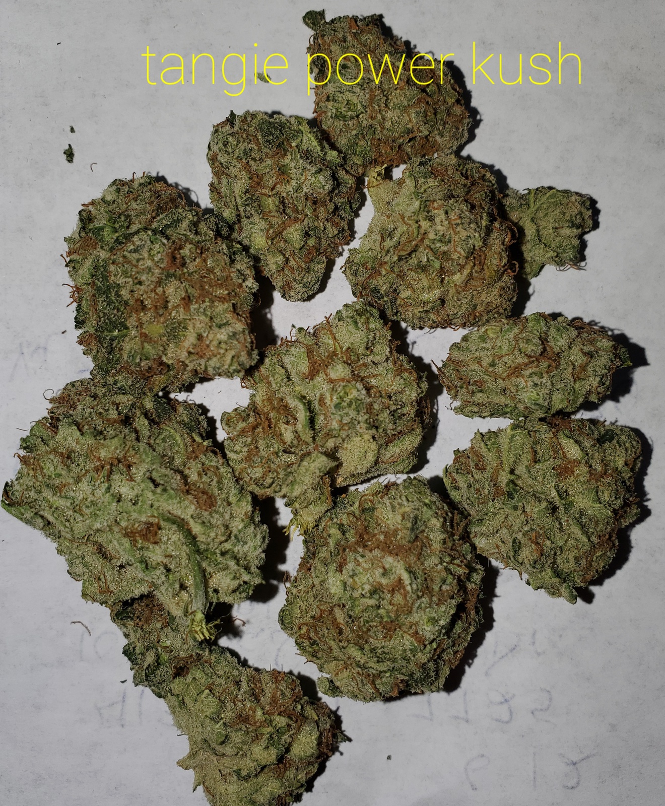 TANGERINE POWER KUSH