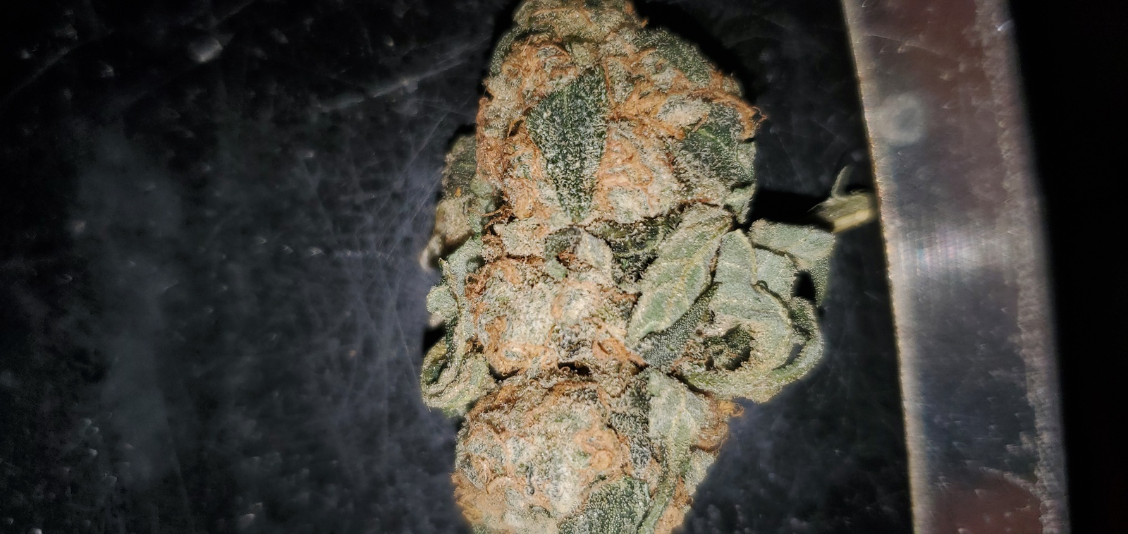 Tangerine Power
