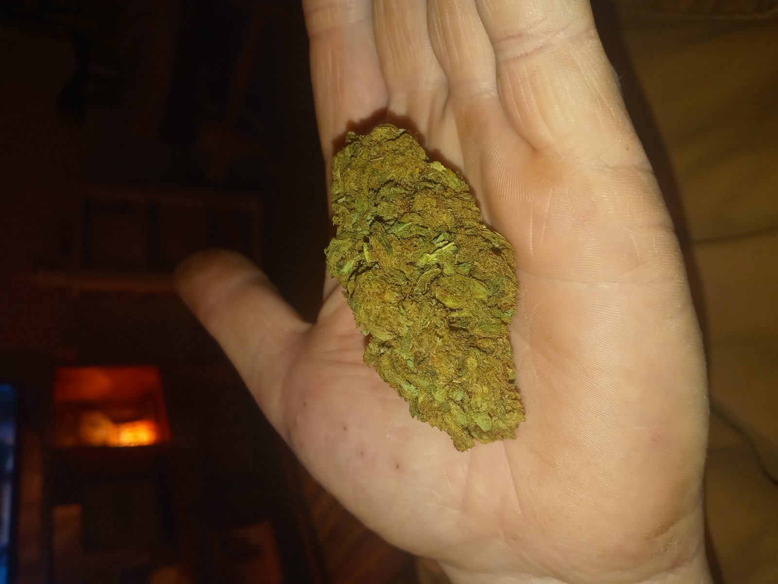 Tangidos