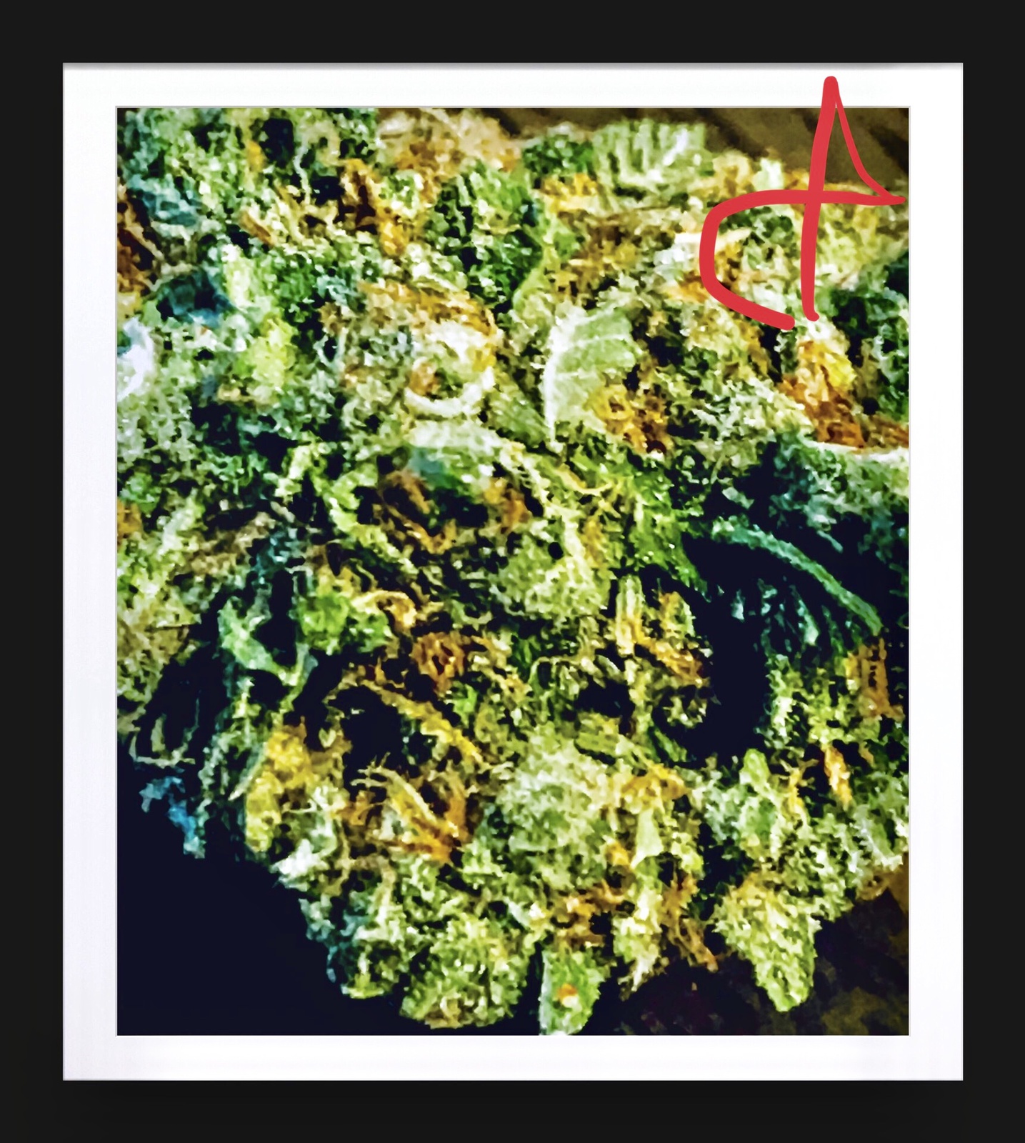 Tangie Biscotti