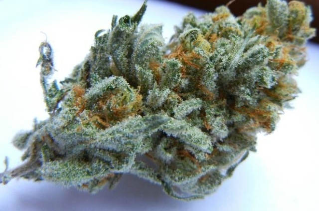 Tangie Power