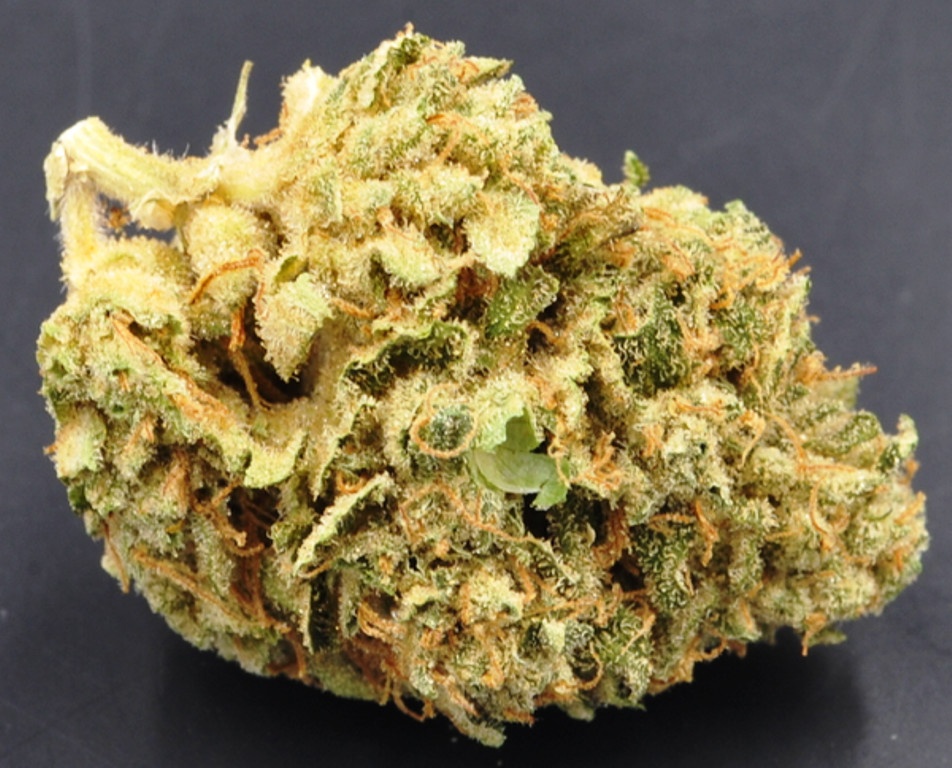 Third Coast Panama Chunk