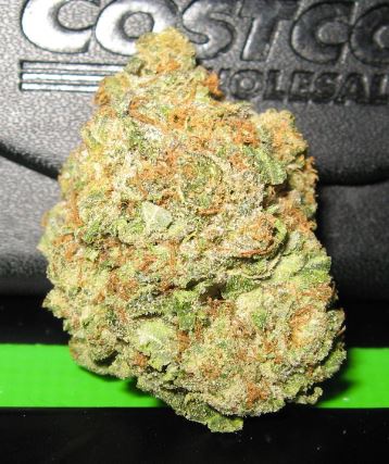 Tom Ford Pink Kush