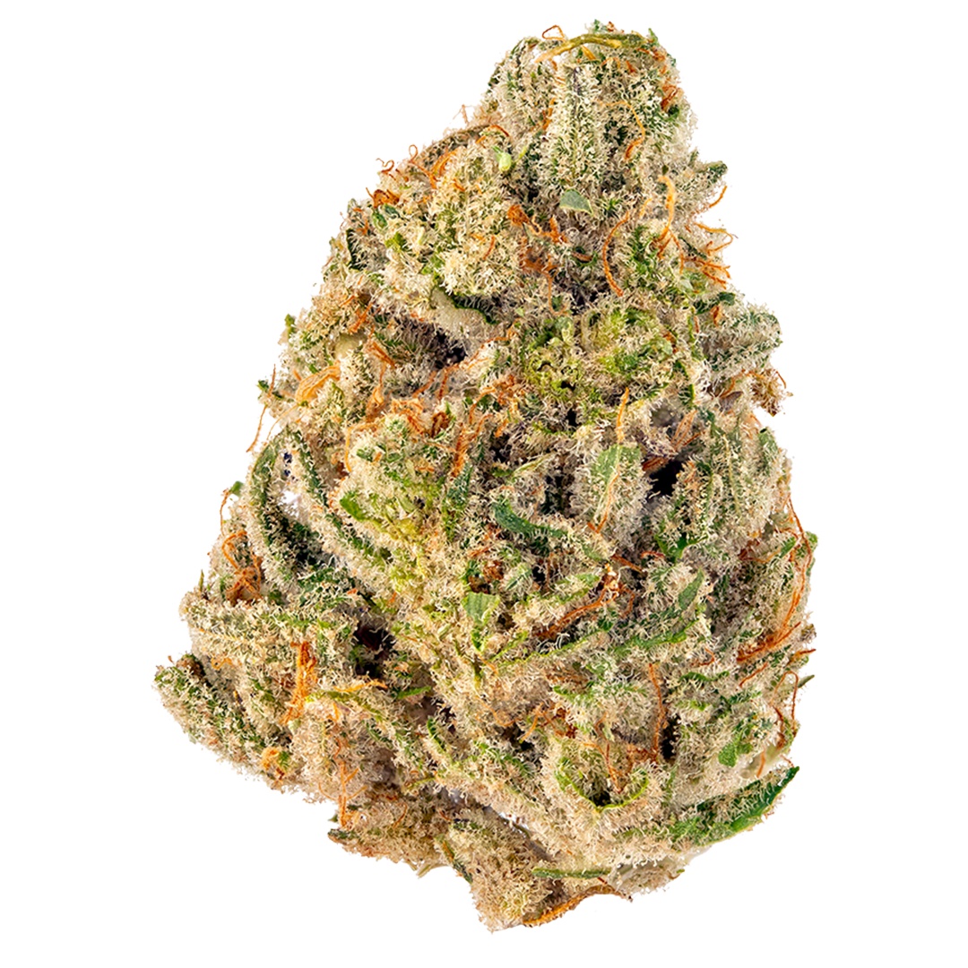 Tropic Fire