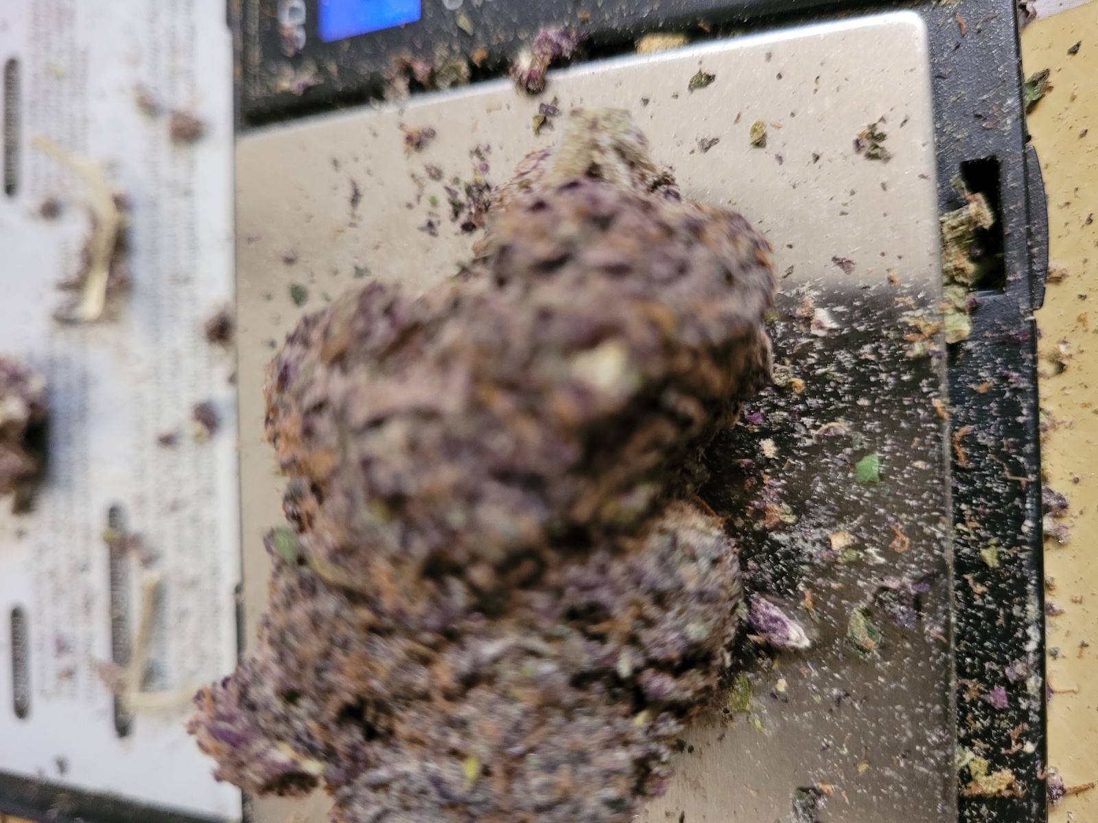 Tropic Truffle