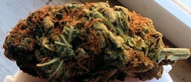 Ultimate Trainwreck