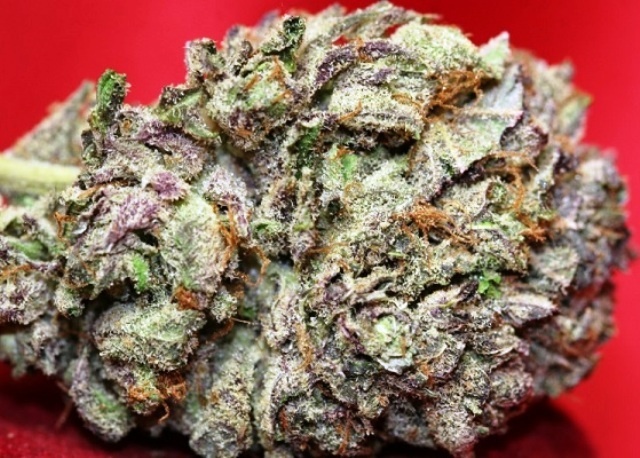 Ultra OG