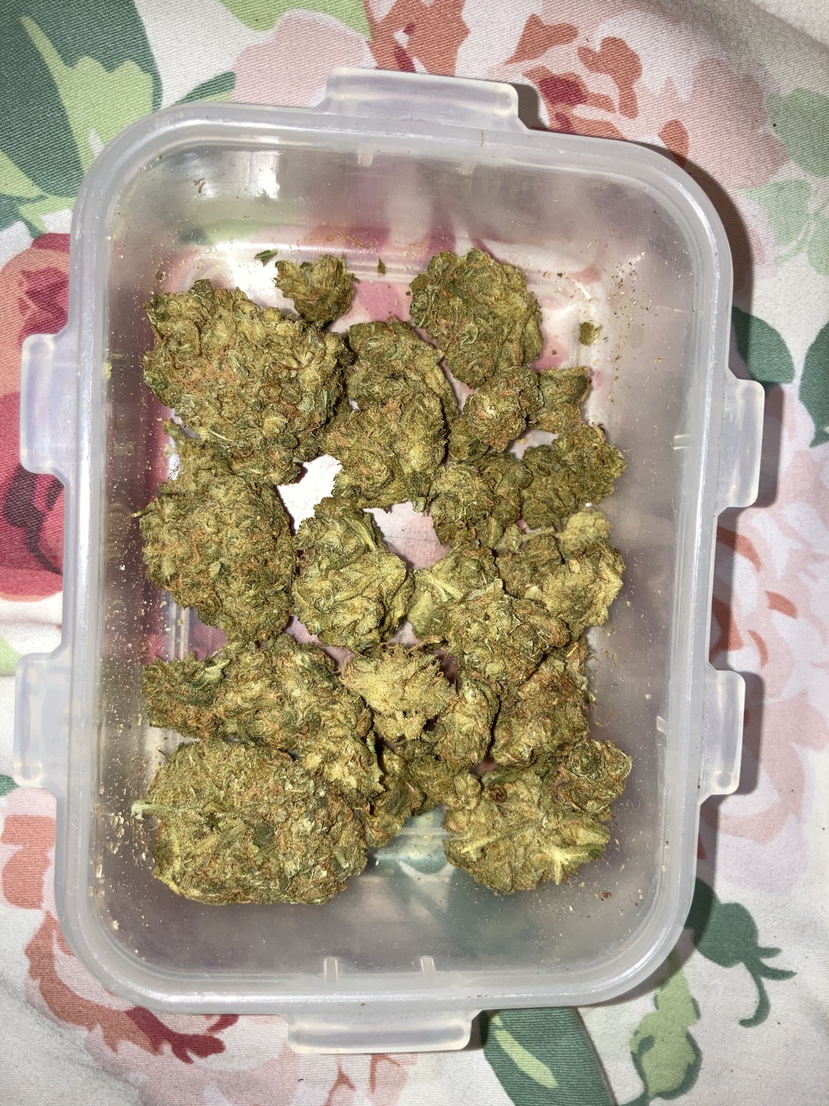 Ultra Sour