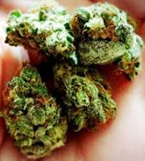Urkle Train Haze