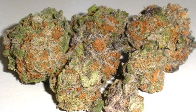 Velvet Kush