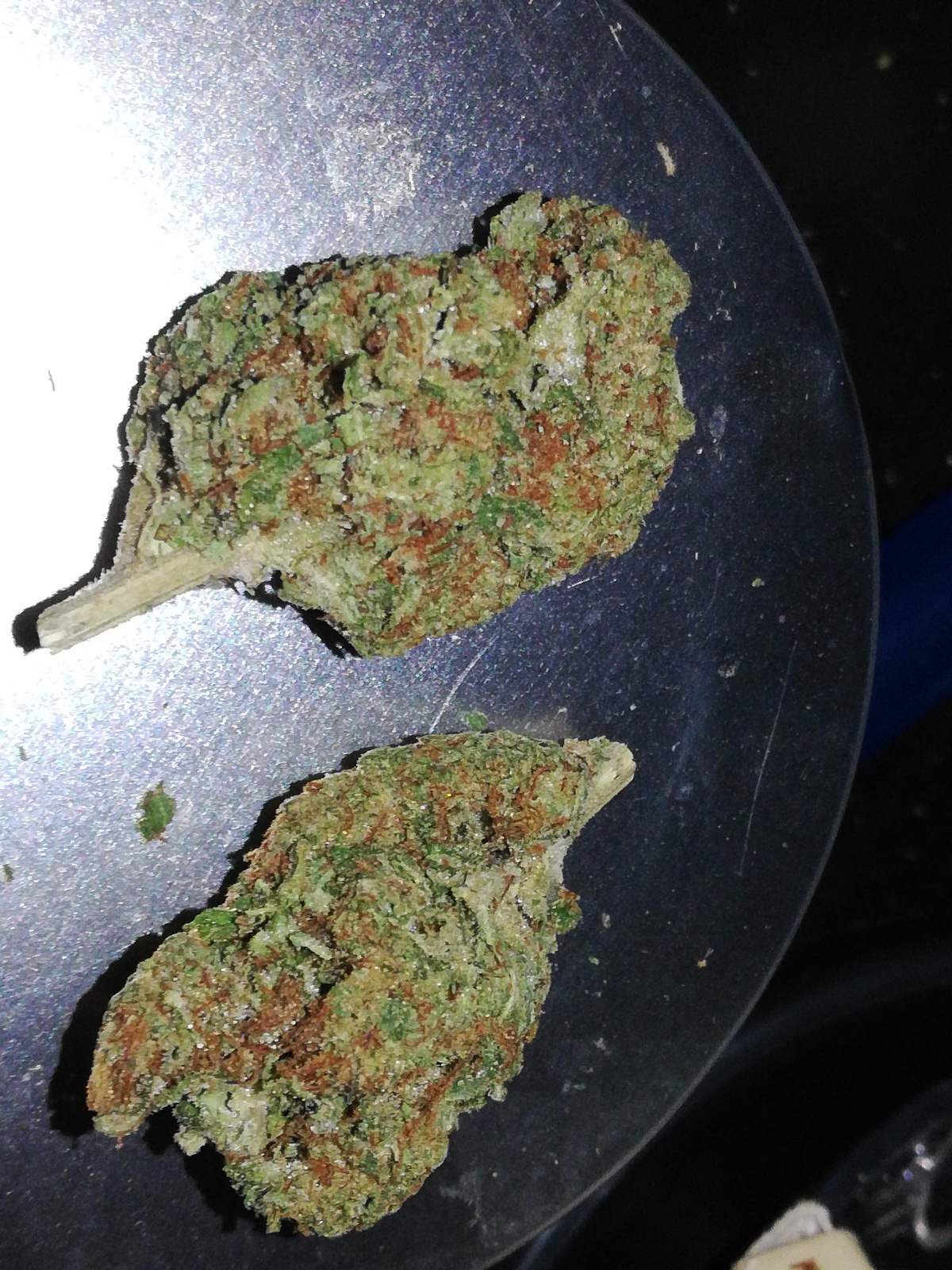 Venom OG Kush