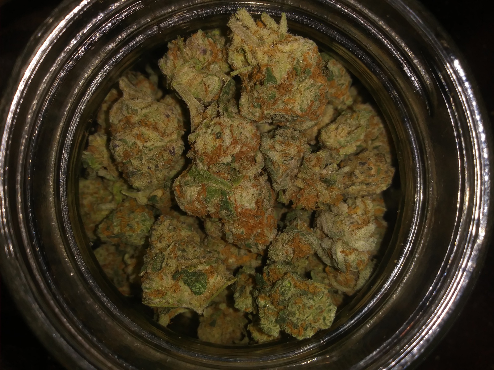 Viper City OG