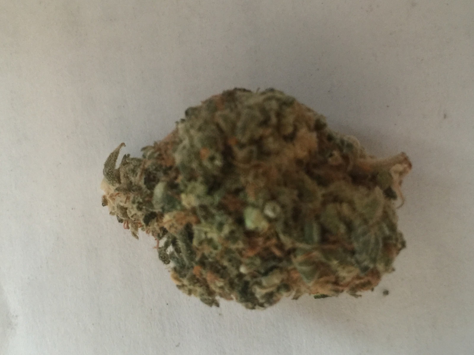 Waikiki Queen