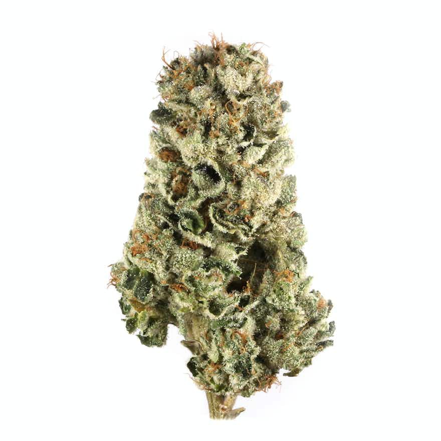 WB OG