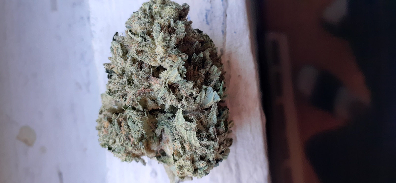 West Coast Dawg
