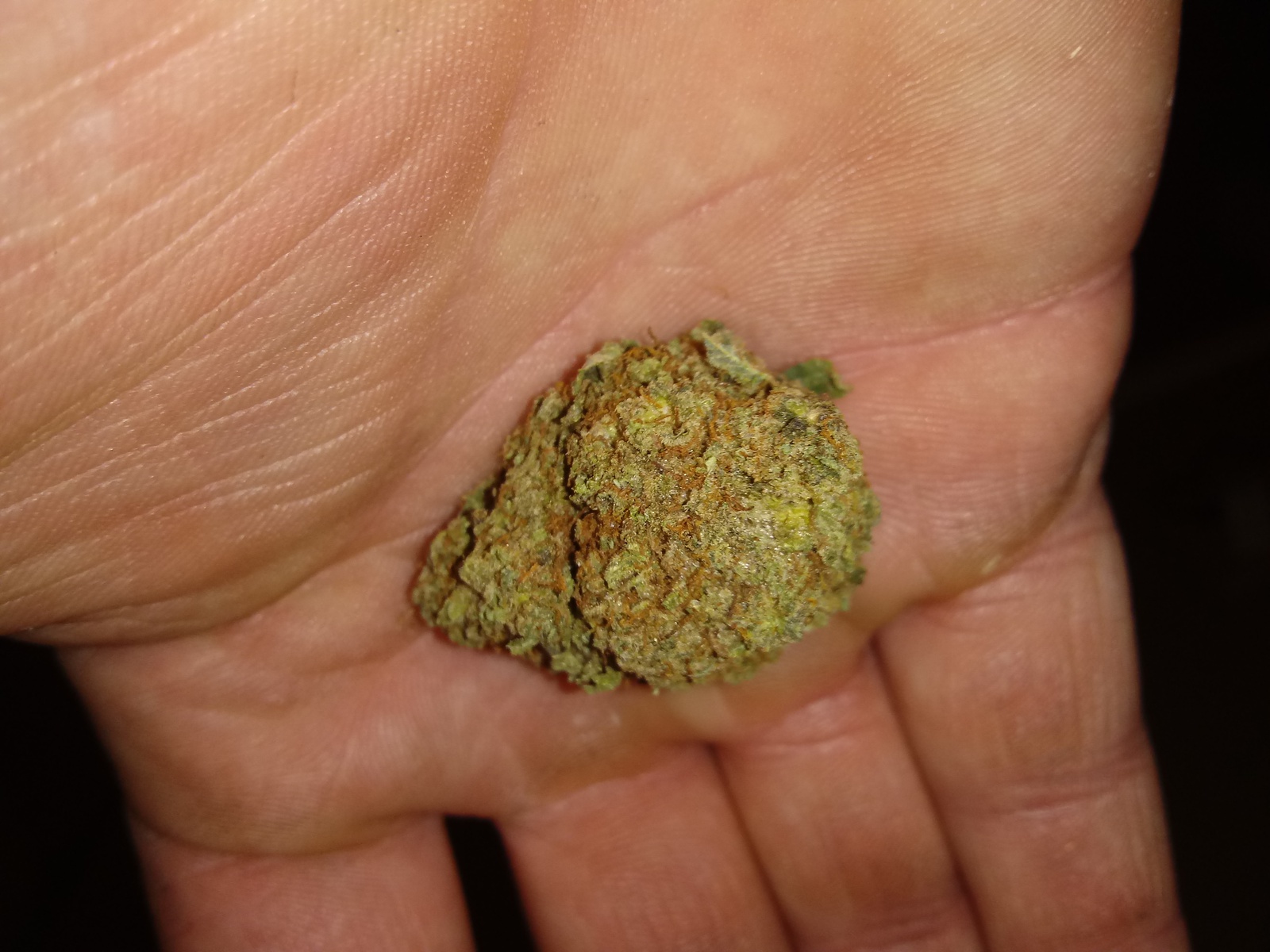 White Amnesia