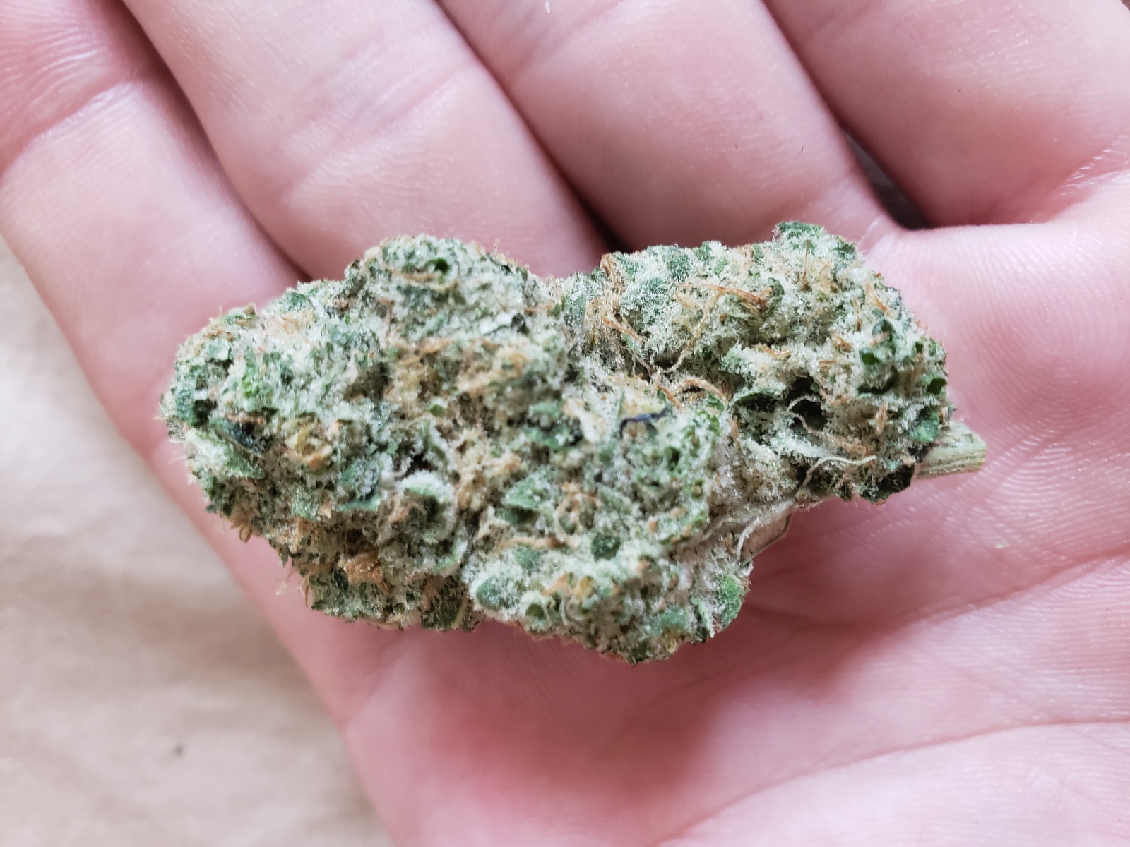 White Bubba