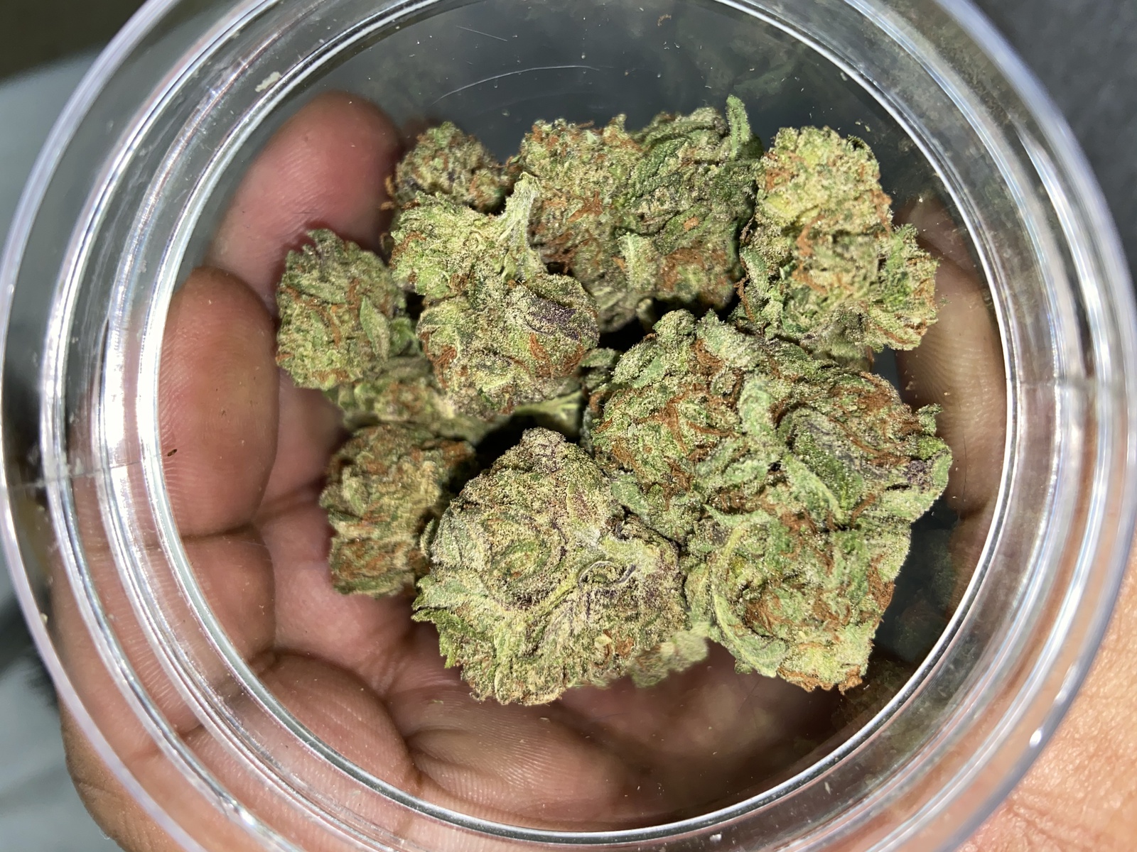 White Kush