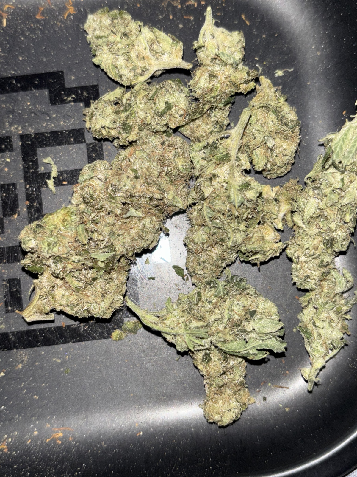 White Lavender